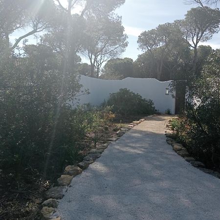 Casa Palmito 2 Villa Chiclana de la Frontera Exterior foto